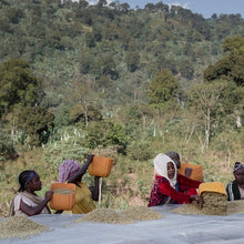 Load image into Gallery viewer, Danche G1, Ethiopia
